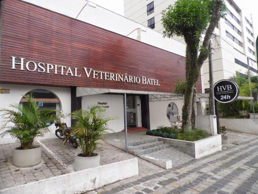 Veterinary Hospital Batel - Foto 2