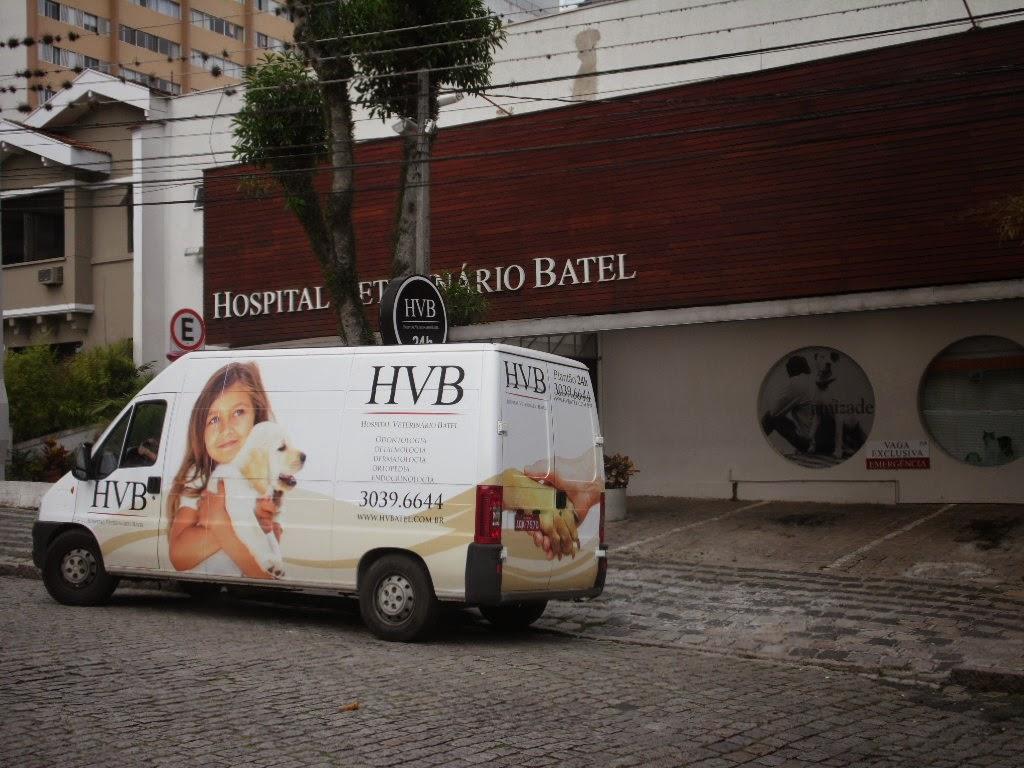 Veterinary Hospital Batel - Foto 4