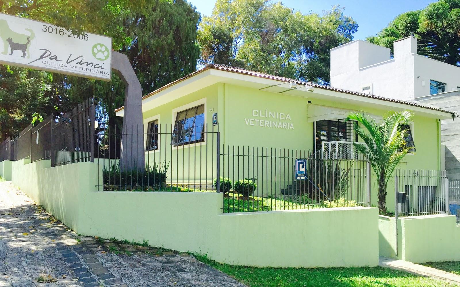 Da Vinci Veterinary Clinic 24 hours