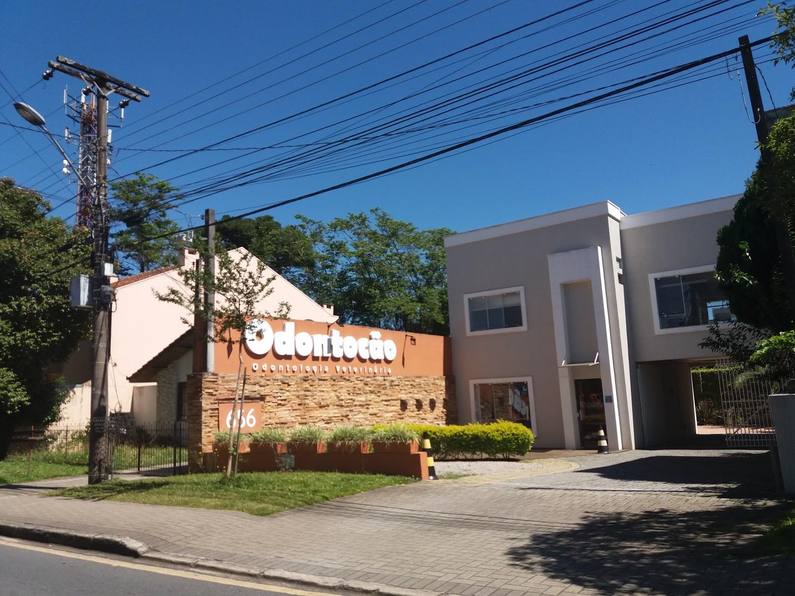 Odontocão Odontologia Veterinária