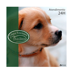 Clínica Veterinária Santa Quitéria