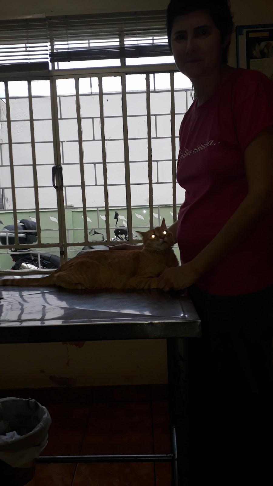 Veterinary clinic Canigatti