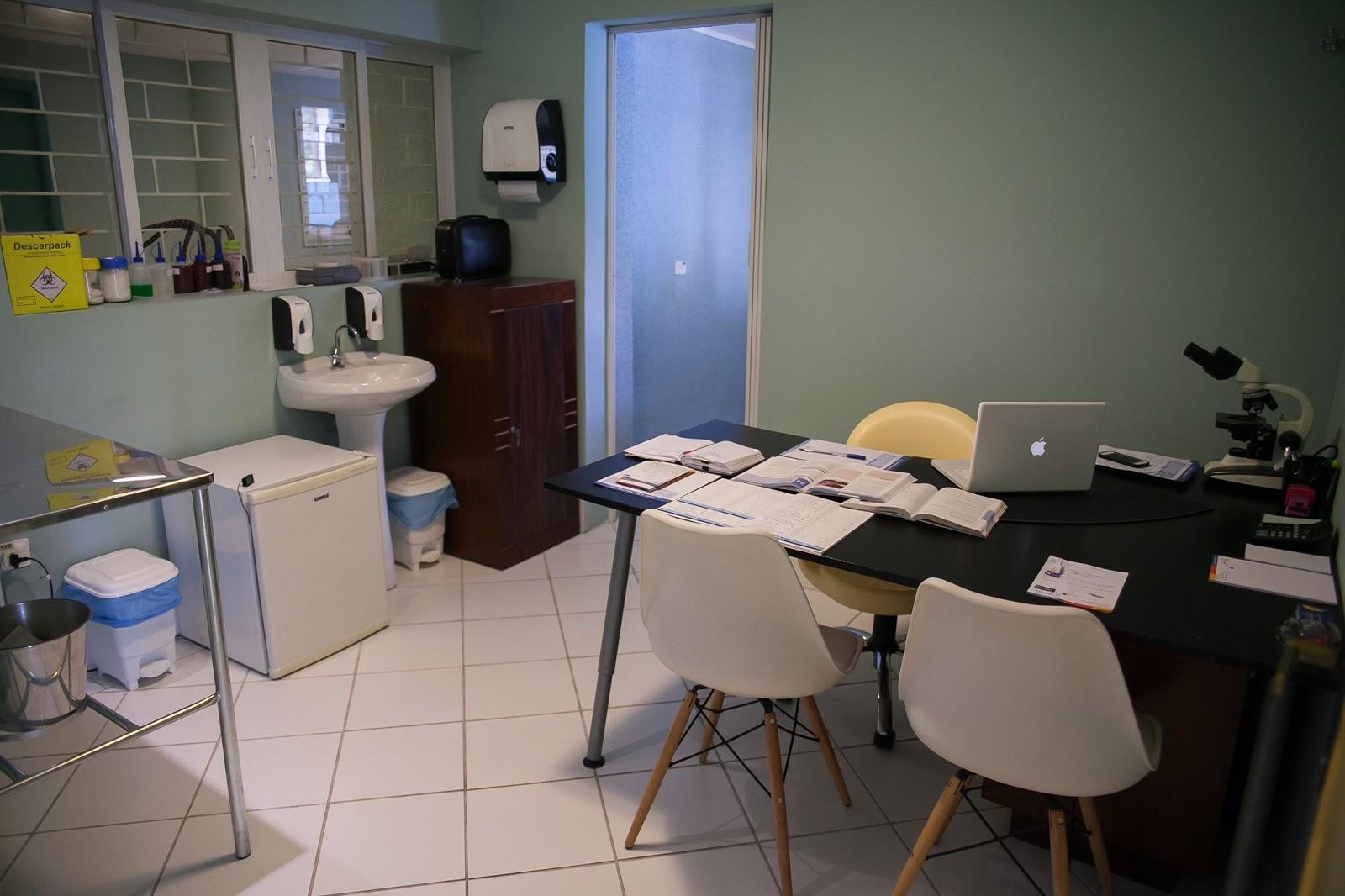 Diversão - Centro de Bem Estar para Cães