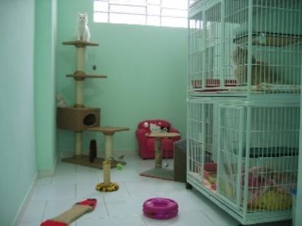 Pet Shop Cantinho do Gato