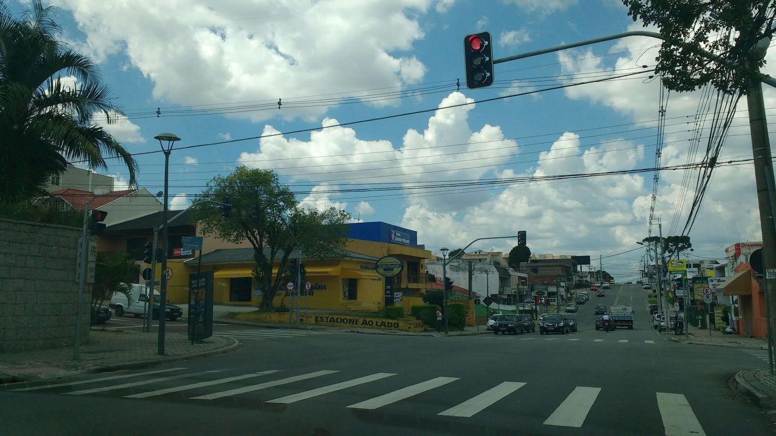 Pet Shop Cão Social