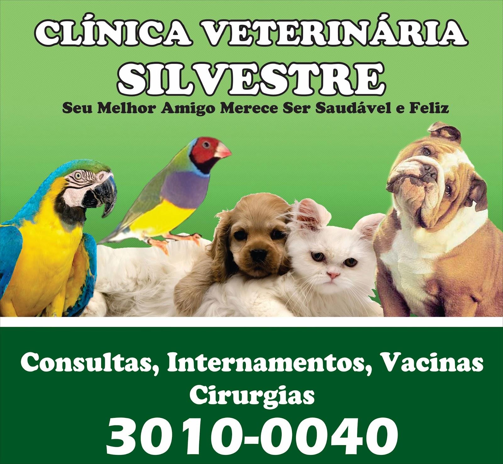 CLÍNICA VETERINÁRIA SILVESTRE