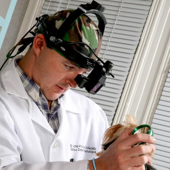 VETWEB OFTALMOLOGIA VETERINÁRIA