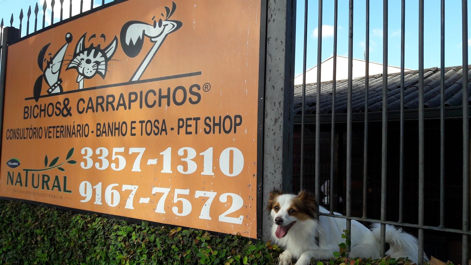 Bichos & Carrapichos - Foto 2
