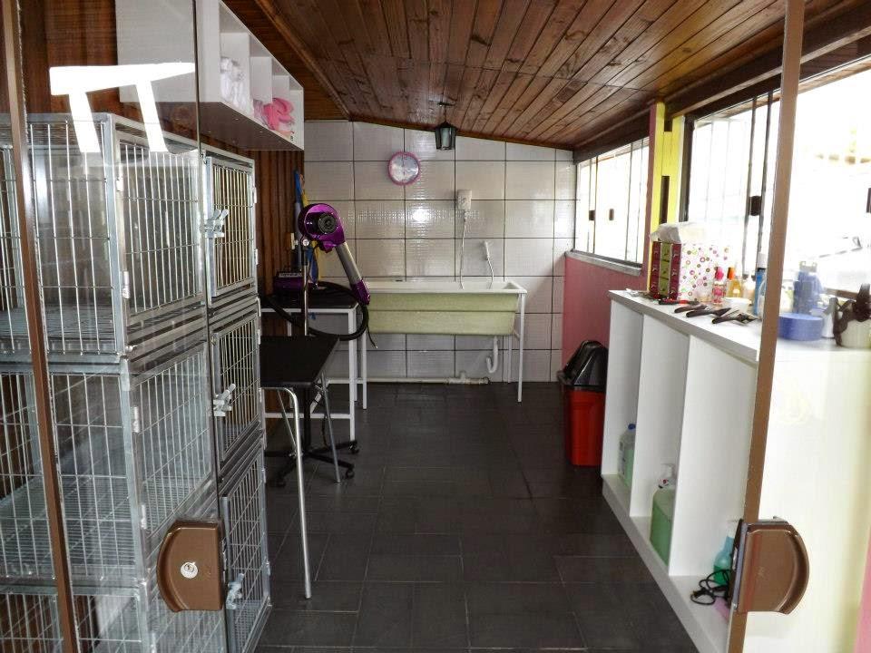 Petshop Entre Patas e Beijos