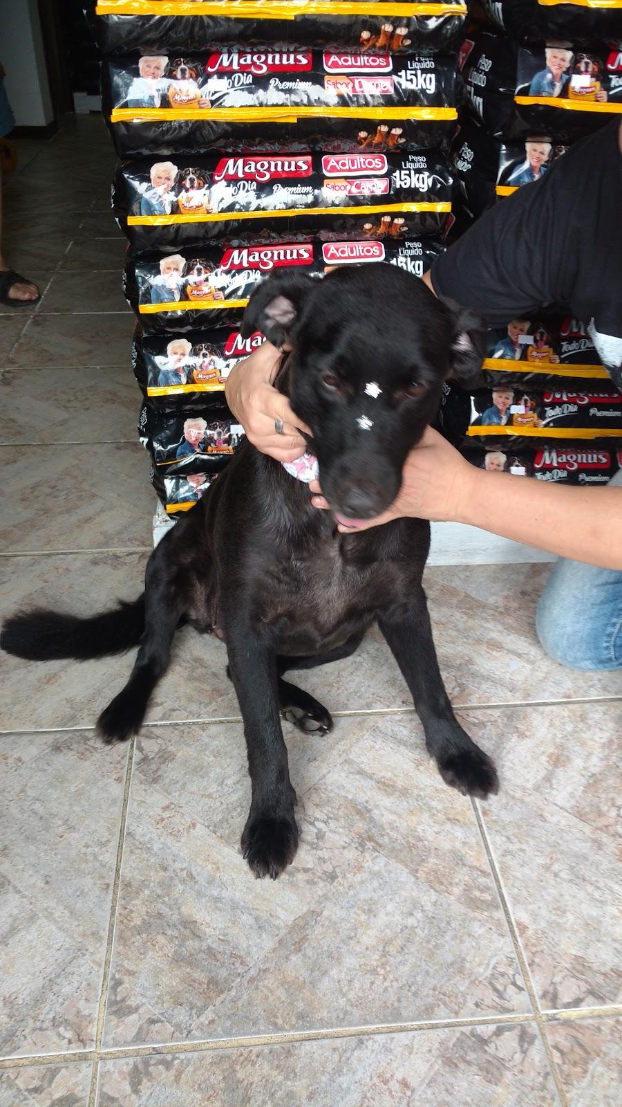 Pet Shop "a Casa do Pingo"