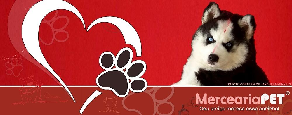 MERCEARIA PET - Foto 3