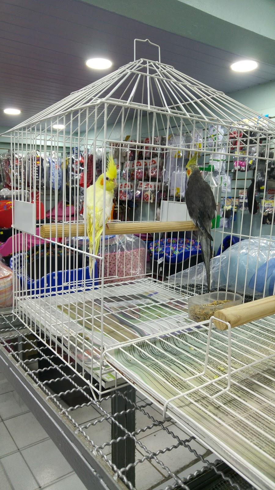 Veterinary Clinic Noah's Ark