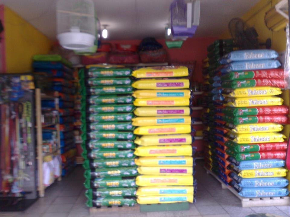 Casa dos Animais - Foto 2