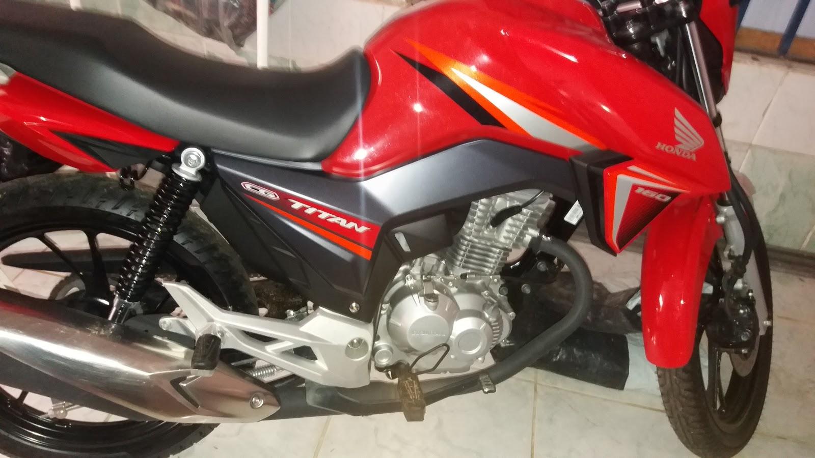 Canil Amazon Houses Dog