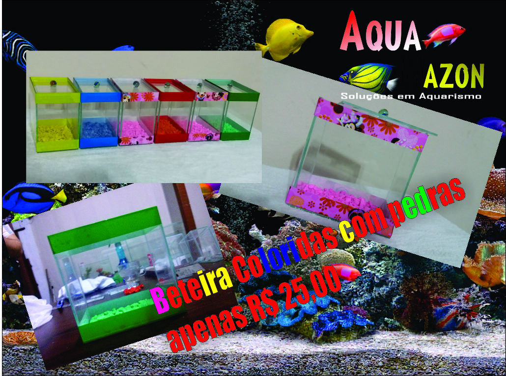 Aquamazon - Foto 4