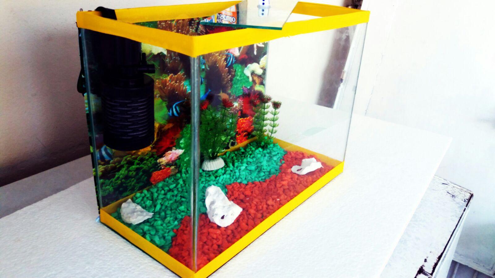 Aquamazon - Foto 3