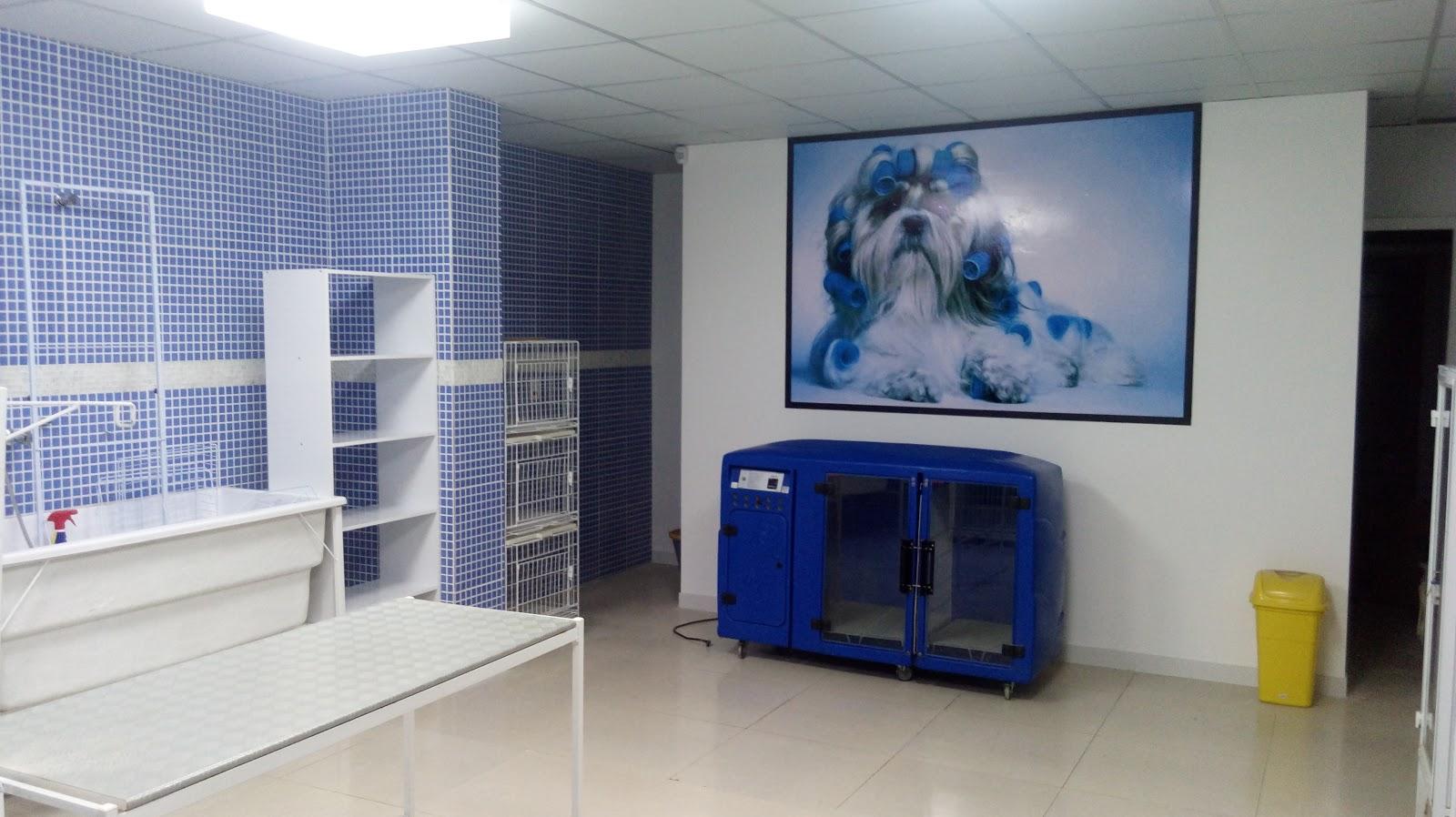Sonho Meu - Foto 5
