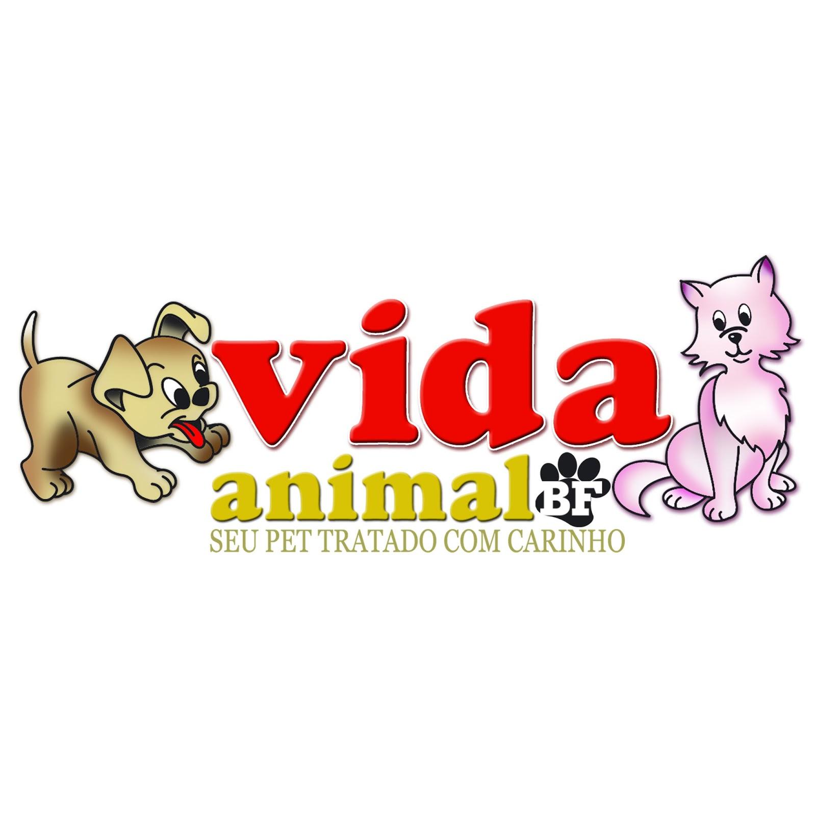 Vida Animal - Foto 4