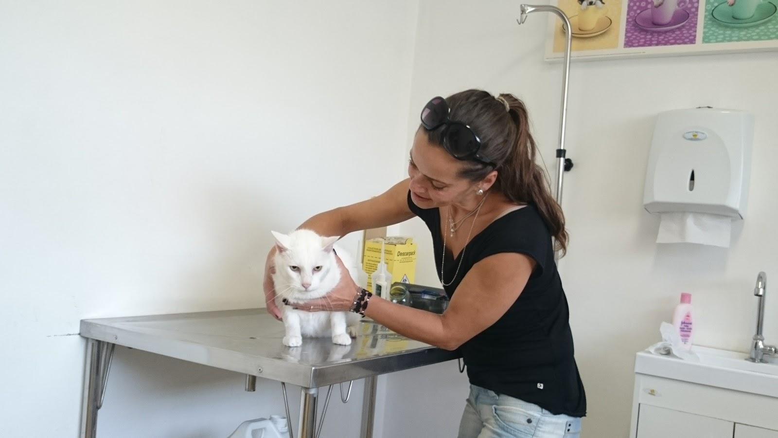 Veterinaria Três Figueiras - Foto 2