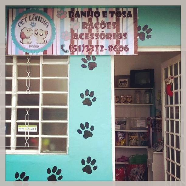 PetShop PetLândia - Foto 3