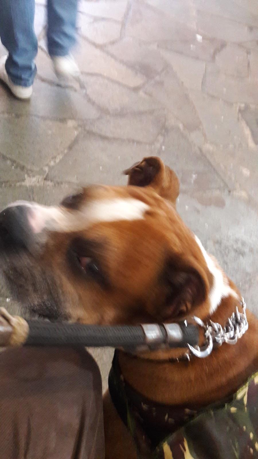 Fertivida Veterinaria - Pet Shop em Porto Alegre