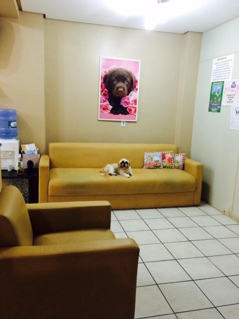Lovin Pet Shop - Foto 5