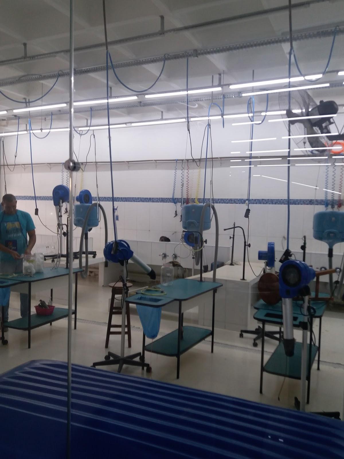 Bicho Pet Store - Ganzo