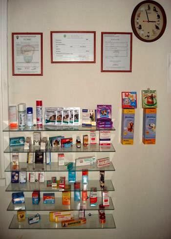 Clínica Veterinária Bichos do Mundo