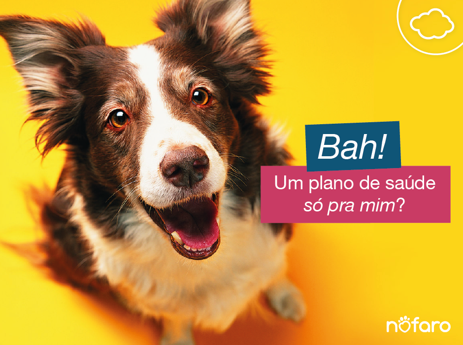 Nofaro Plano de Saúde Animal
