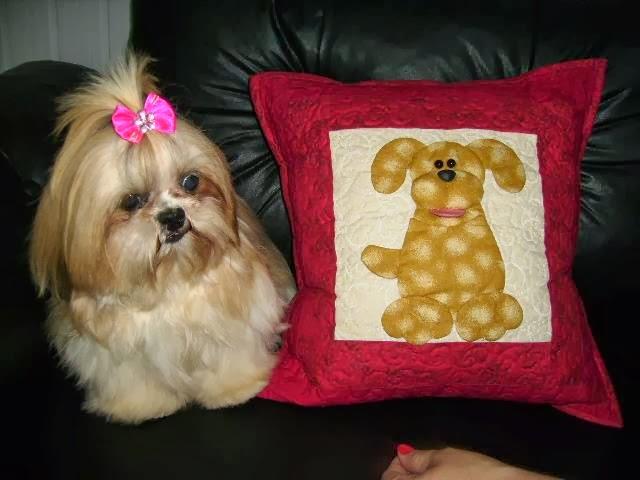 Pet da Mary - Foto 5