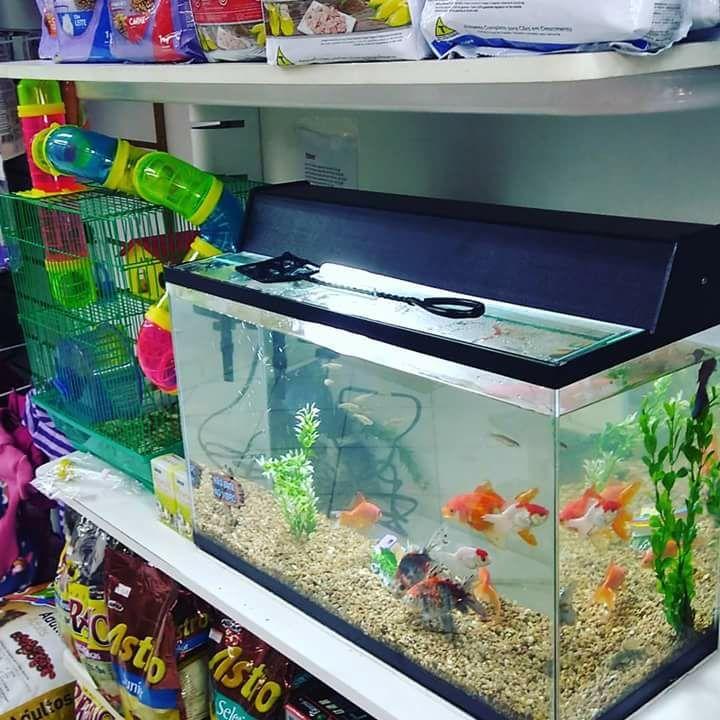 AgroPet Elite - PetShop - Pet Shop em Porto Alegre