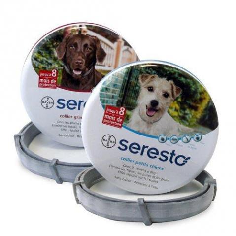 Mundo Grooming Estética Animal