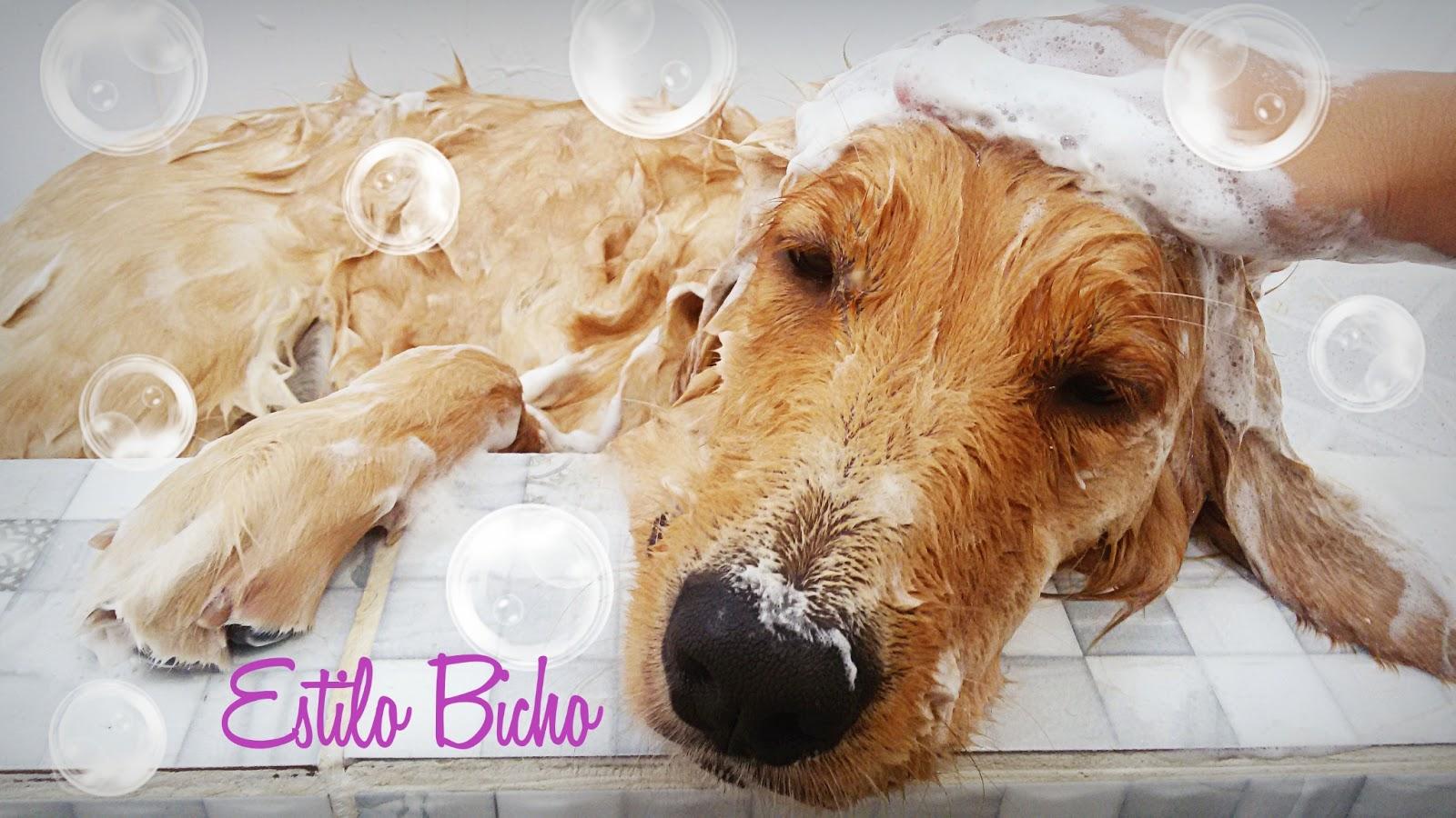 Estilo Bicho Pet shop