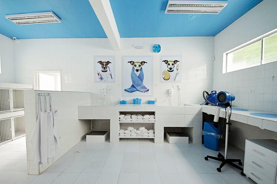 Pet Palace Luxo - Recife