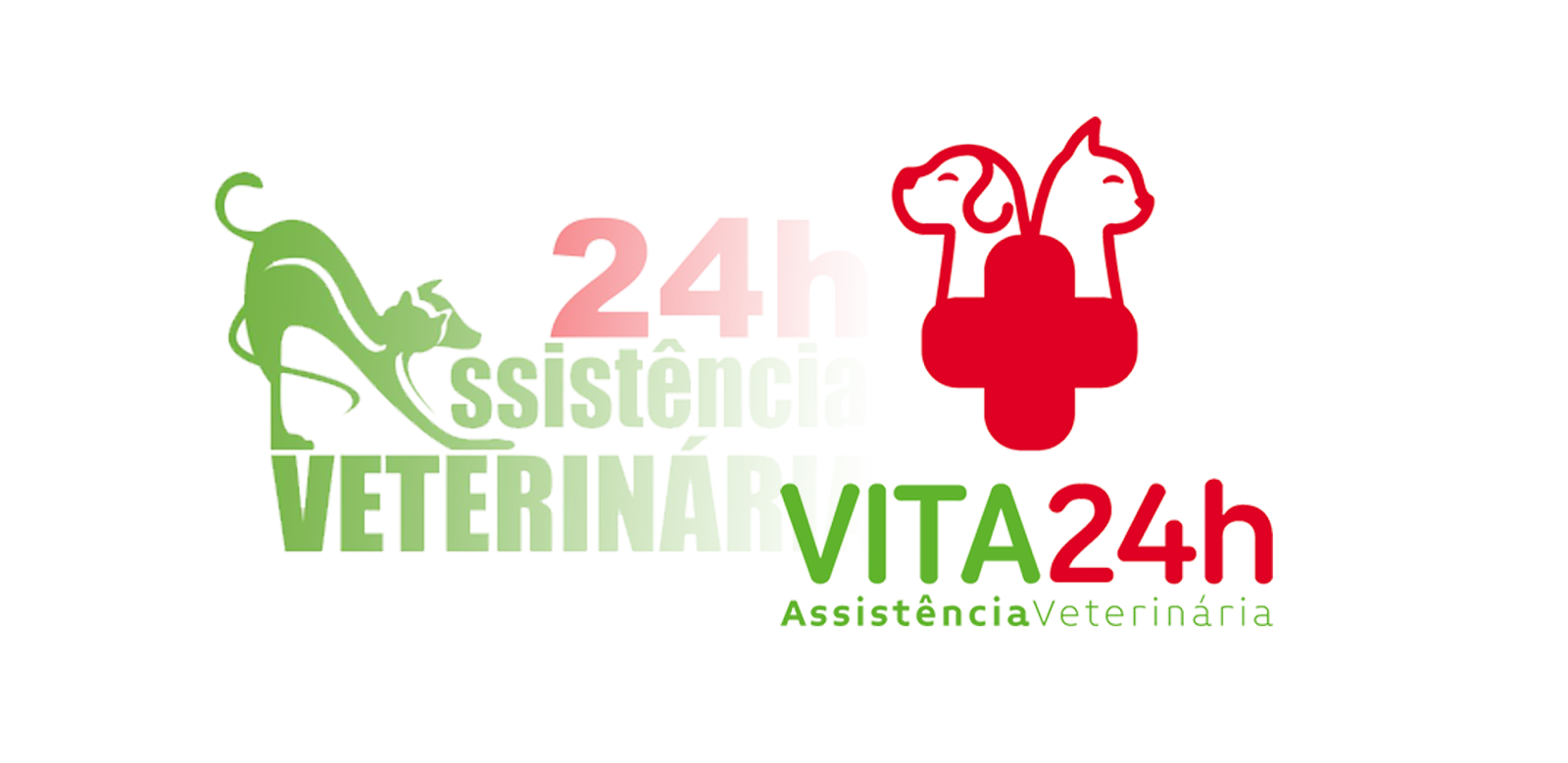 Veterinary Vita 24h - 24h Veterinary Assistance