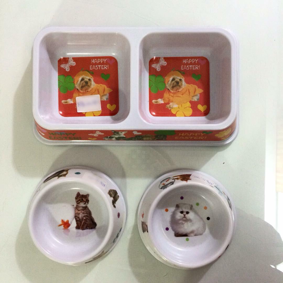 caoqri de casa forte