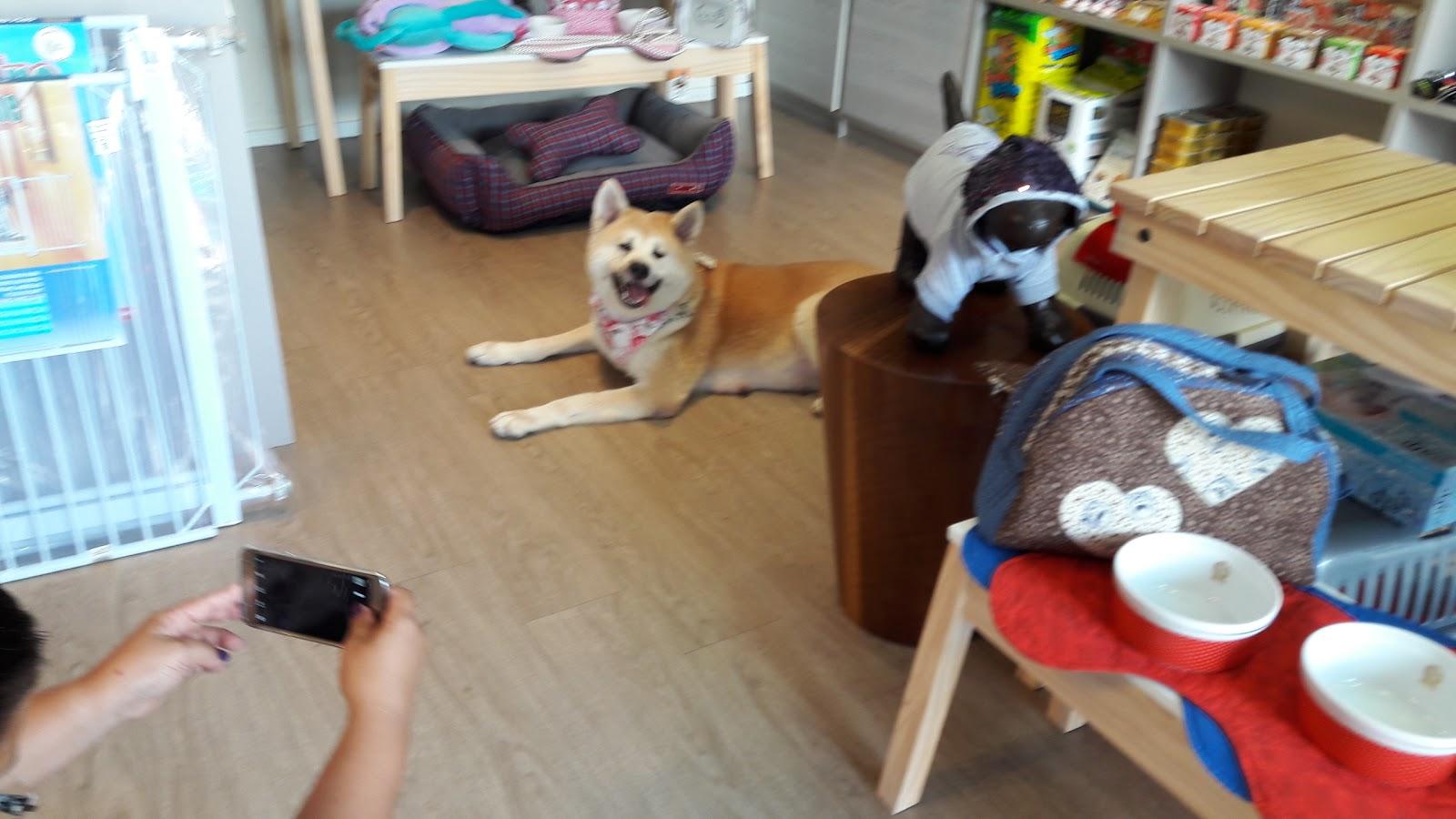 Pet Villa Centro Veterinário e Petshop Recife