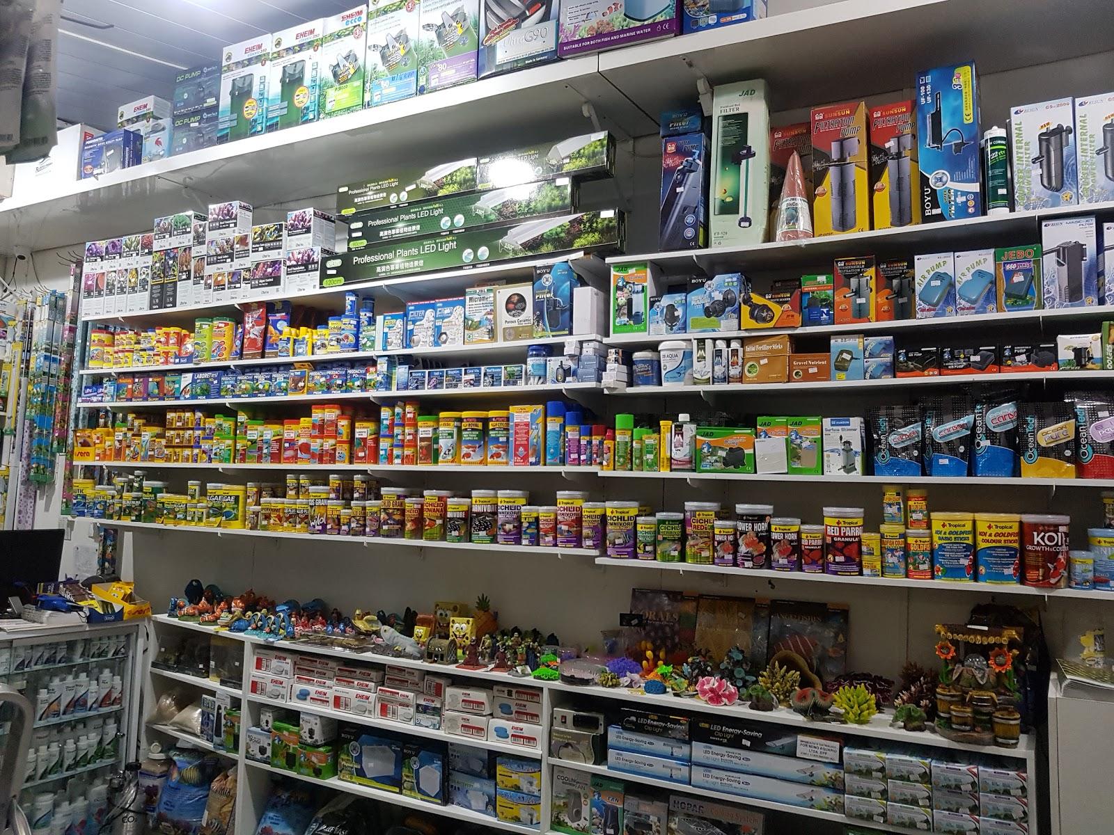 Acquarecife - Peixes Ornamentais