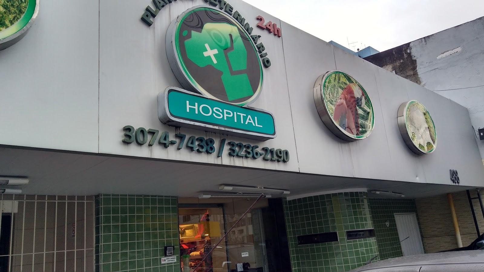 Veterinary duty - Hospital 24