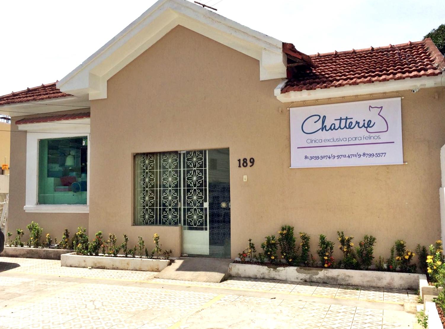 Chatterie - Clínica exclusiva para felinos