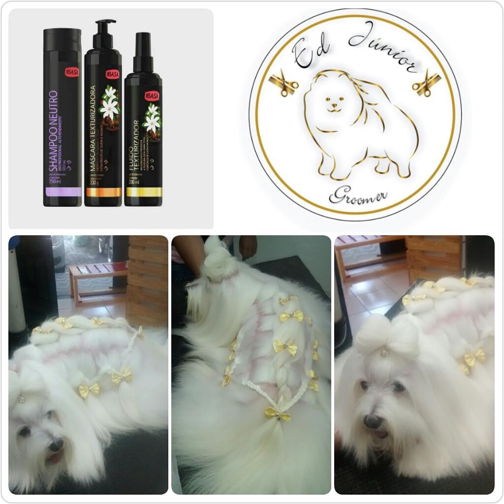 Bicho Dengoso - Foto 3