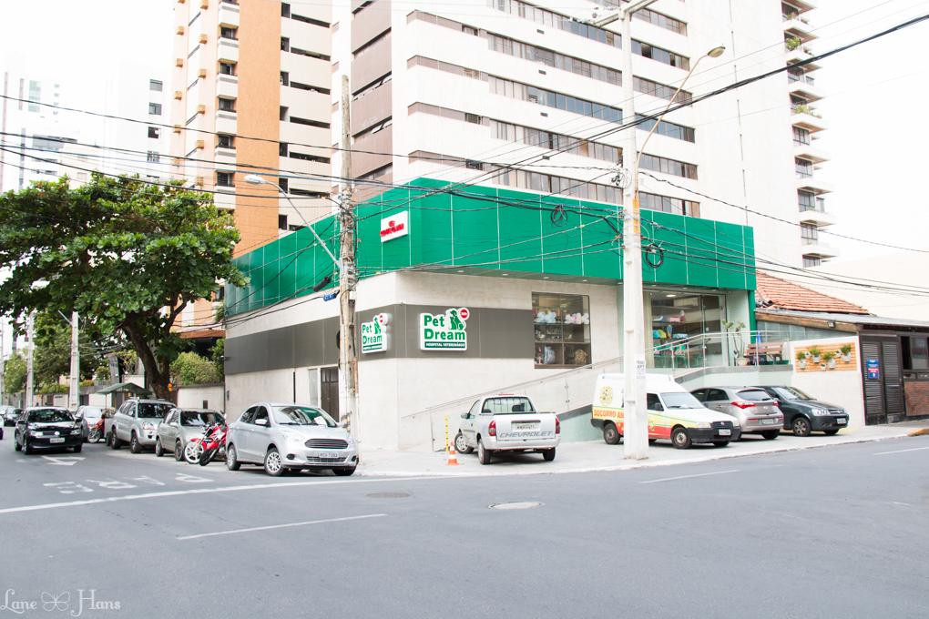 Dream Pet Veterinary Hospital