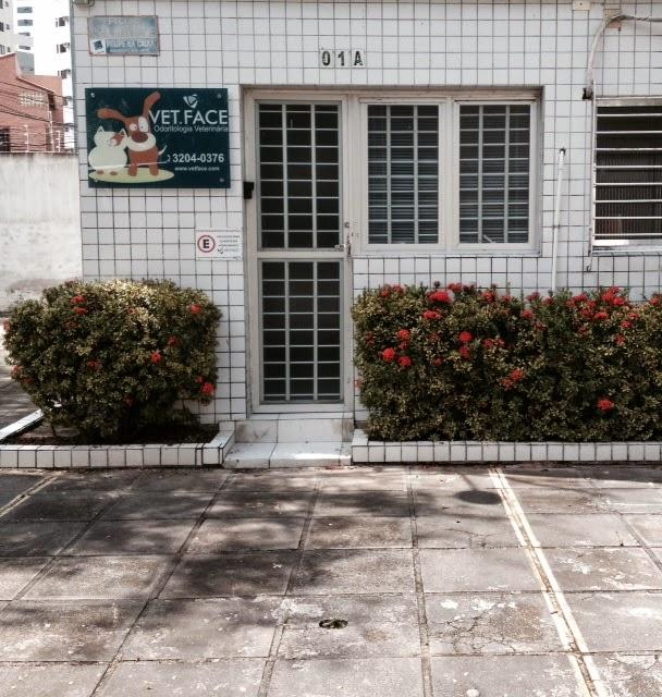 VET.FACE - Odontologia Veterinária