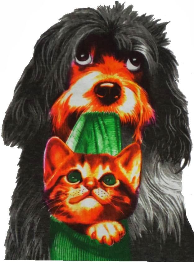 PET SHOP VIDA ANIMAL