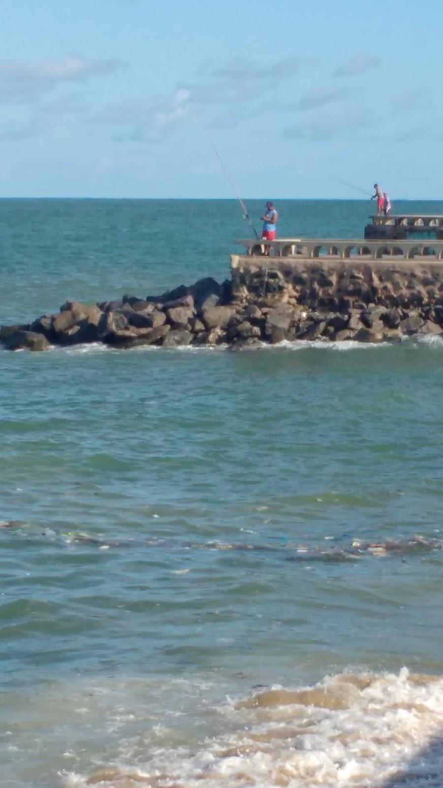 4 Paws Veterinary Assistance 24h