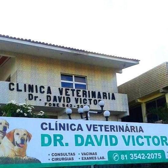 Clínica Veterinária Dr. David Victor Gomes