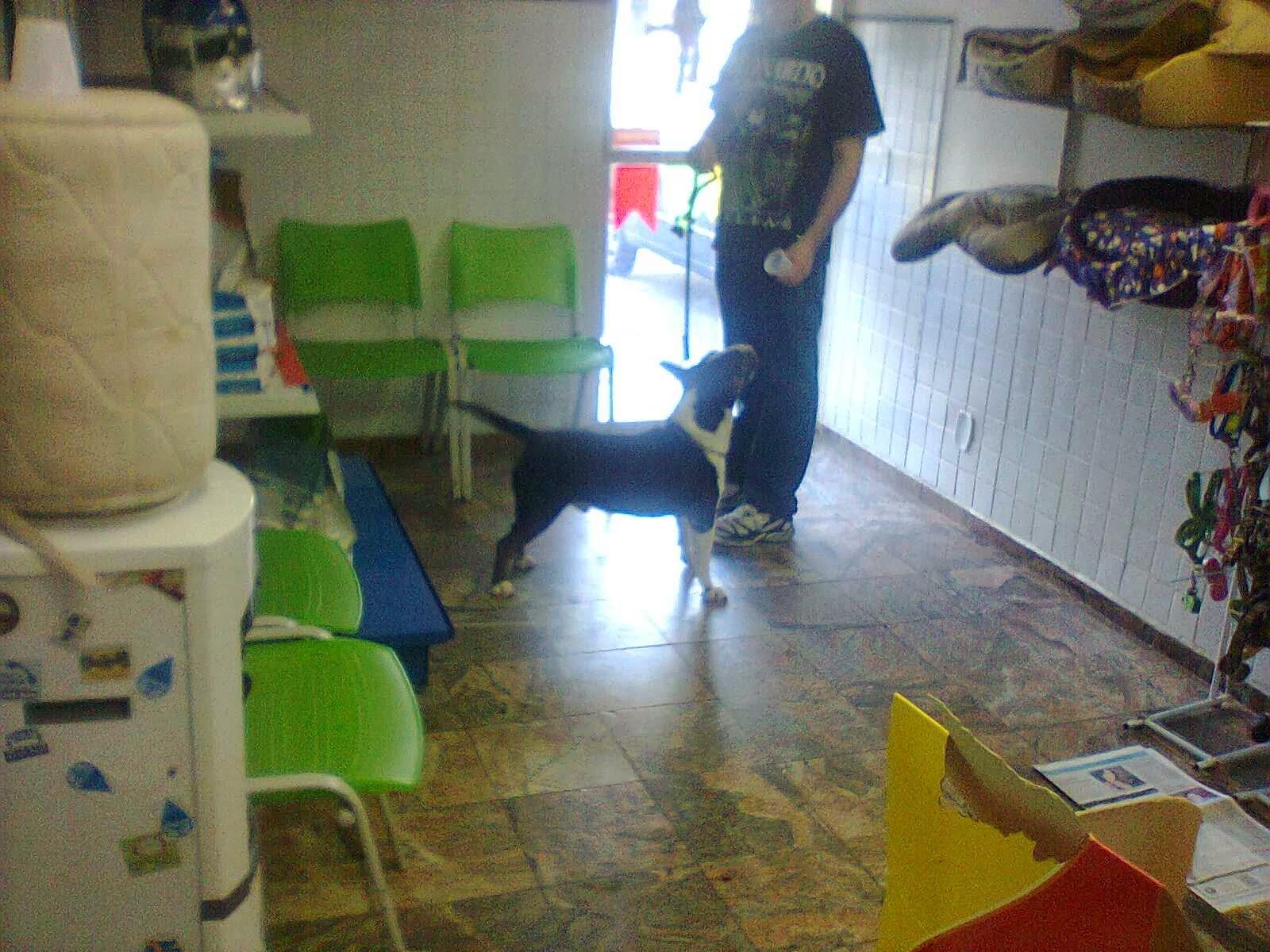 Clinica Veterinária Animalmed