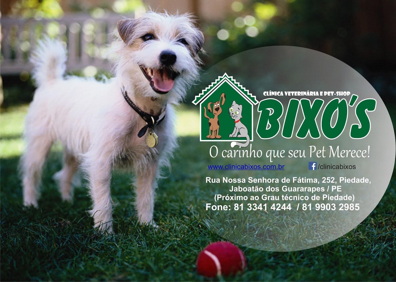 Clínica Veterinária Bixo's