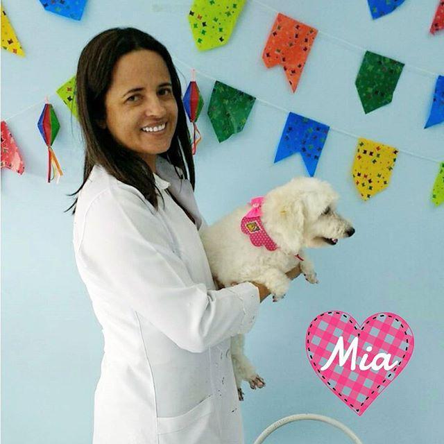 SOS Pet - Foto 5