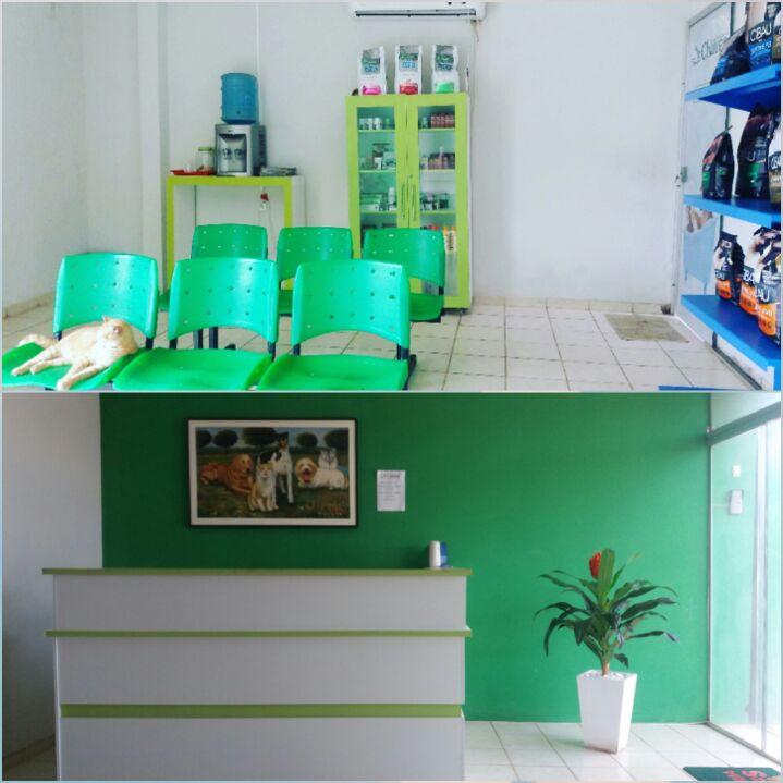 Clínica Veterinária Chaves - Maiobão